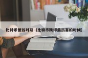 比特币低谷时期（比特币跌得最厉害的时候）
