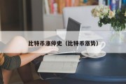比特币涨停史（比特币涨势）