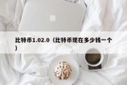 比特币1.02.0（比特币现在多少钱一个）
