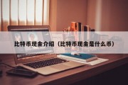 比特币现金介绍（比特币现金是什么币）