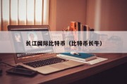 长江国际比特币（比特币长牛）