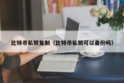 比特币私钥复制（比特币私钥可以备份吗）